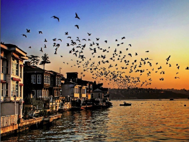 Beykoz Tekne Kiralama Beykoz Tekne Kiralama